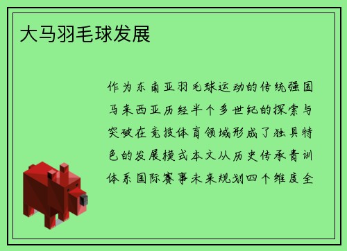 大马羽毛球发展