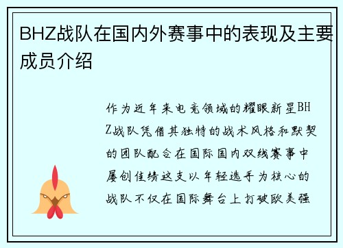 BHZ战队在国内外赛事中的表现及主要成员介绍
