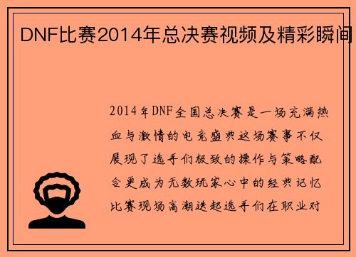 DNF比赛2014年总决赛视频及精彩瞬间