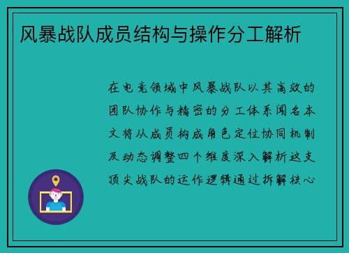 风暴战队成员结构与操作分工解析
