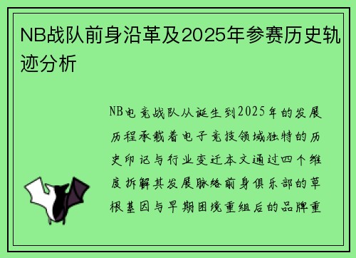 NB战队前身沿革及2025年参赛历史轨迹分析